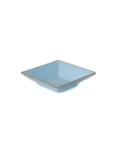 Blue Blue Porcelain dish