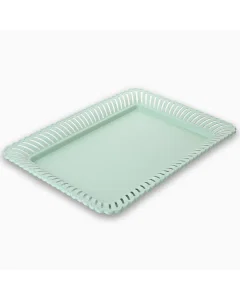 tray  stainless steel