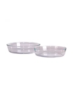 Oval glass trays 2 tablets