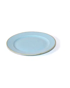 Blue Blue Porcelain dish
