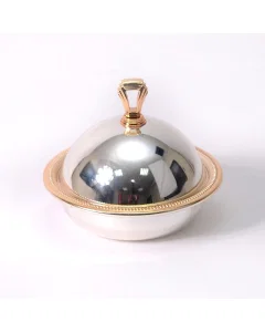 Small golden silver tamriya