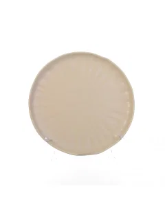 Porcelain dish