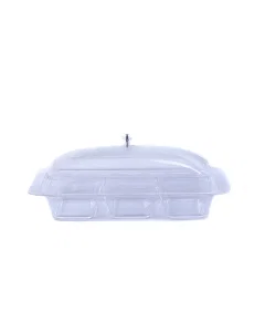 3-section acrylic serving plate with lid