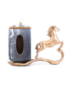 Tissue box with stand