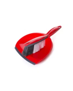 Broom with dustpan