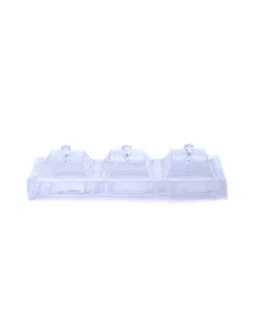 3-section acrylic serving plate with lid