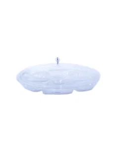 Acrylic nuts dish, 6 squares, with lid