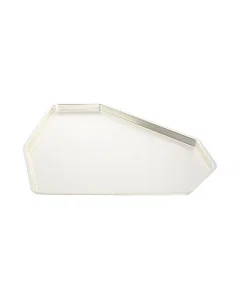 tray modern serving Silver  