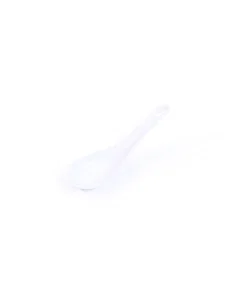 Porcelain spoon