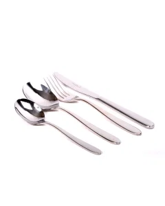 A set of 16-piece spoons in shiny silver