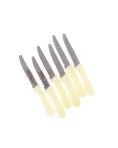 Fruit knife set of 6 pieces