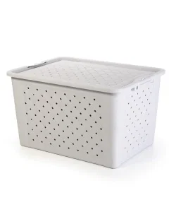 Plastic purposes box