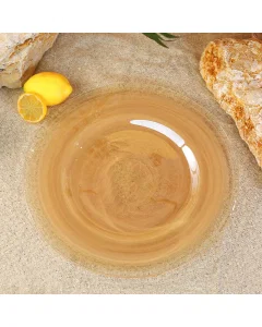 Glass plate size 30.5 cm