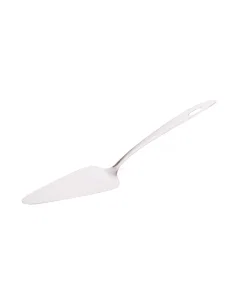 spoon for serving cake